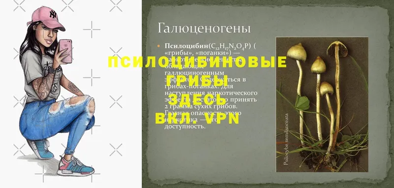 маркетплейс какой сайт  Нижняя Тура  Псилоцибиновые грибы ЛСД 